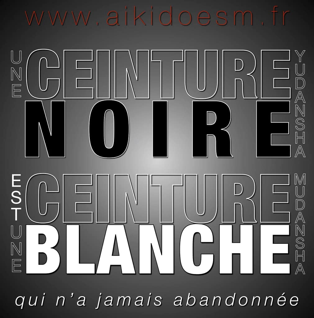 Aïkido Grades - Yudansha vs Mudansha - AIKIDO ESM