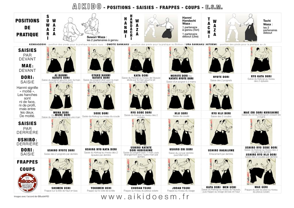 Techniques d'Aïkido. AIKIDO - Positions - Saisies - Frappes - Coups - AIKIDO ESM