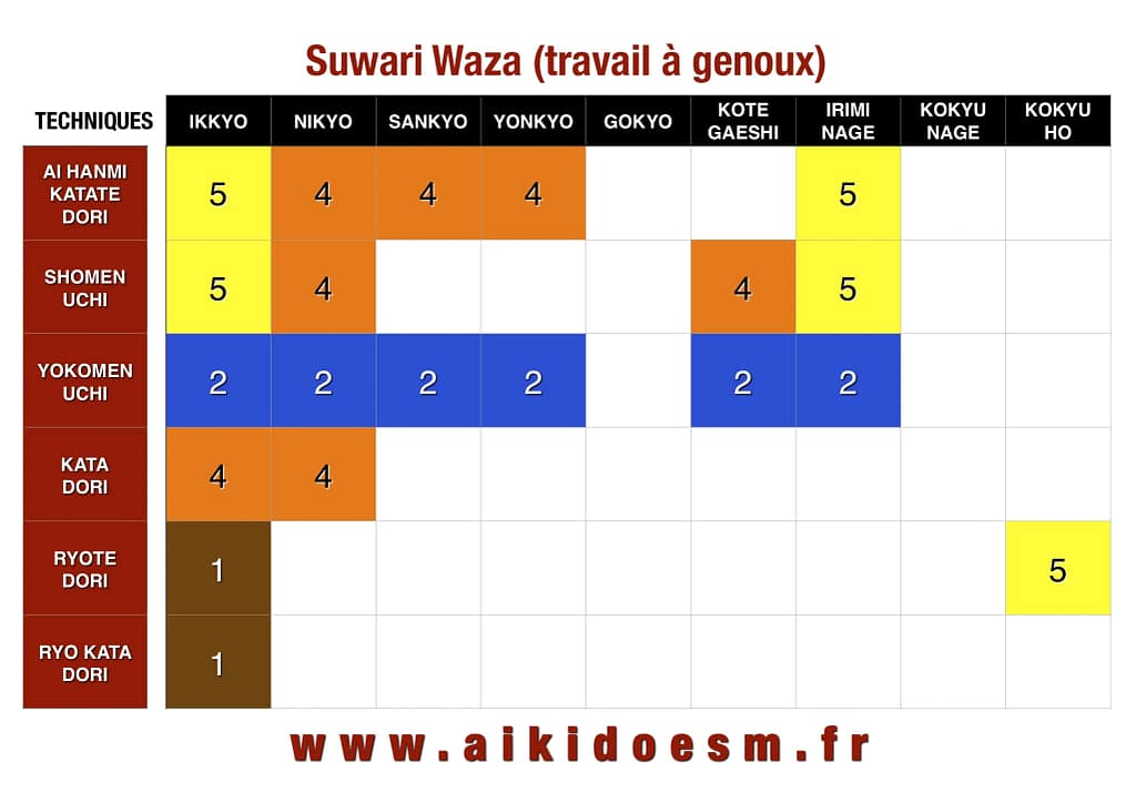 Aïkido Grade Kyu - Suwari Waza - AIKIDO ESM