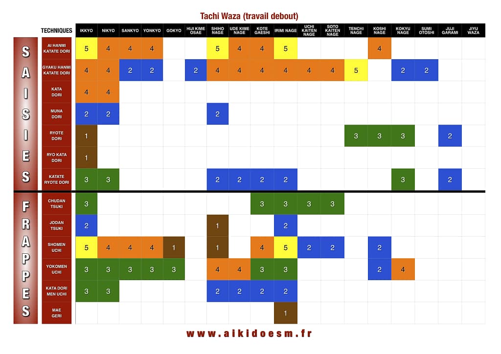 Aïkido Grade Kyu - Tachi Waza - AIKIDO ESM