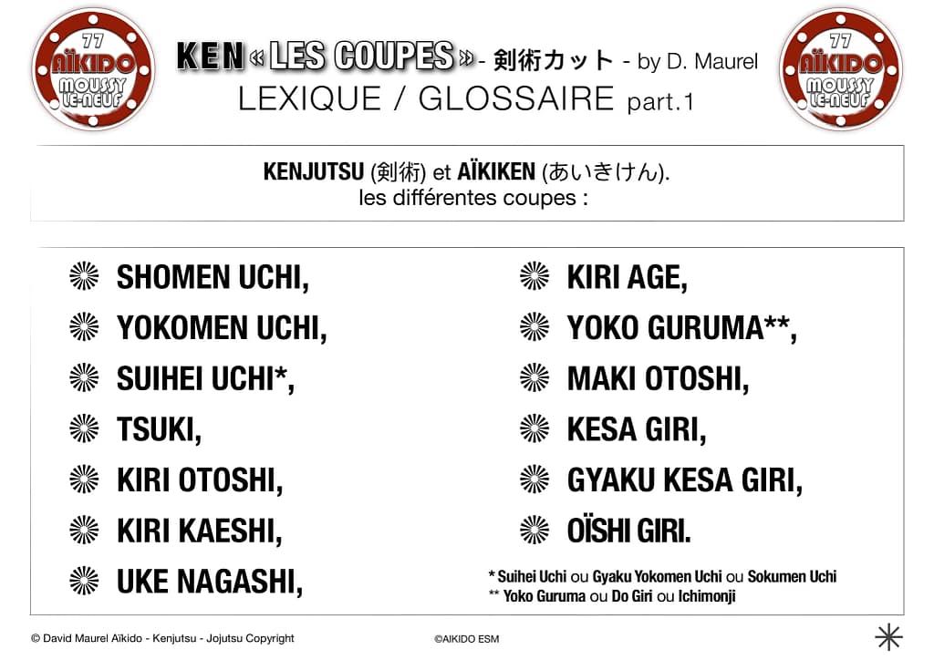 Coupes au Ken 1 - Buki-Waza by David Maurel pour AIKIDO ESM