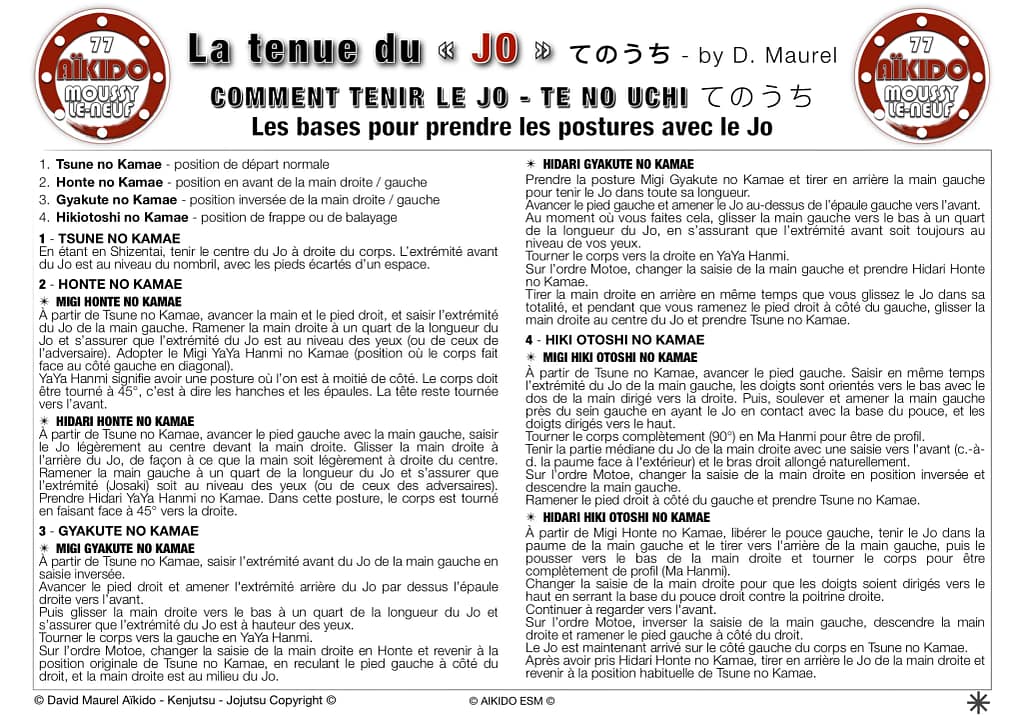 Te no Uchi de Jo - BUKI-WAZA - by David Maurel pour AIKIDO ESM
