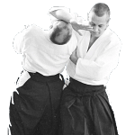 Irimi Nage - AIKIDO ESM