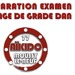 AIKIDO - Préparation Examen - Passage de grade Dan