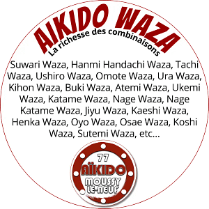 AIKIDO WAZA - AIKIDO ESM