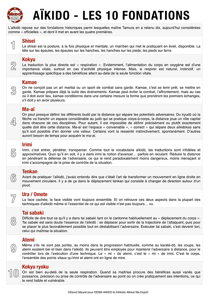 Les 10 fondations selon Maître Tamura - AIKIDO ESM