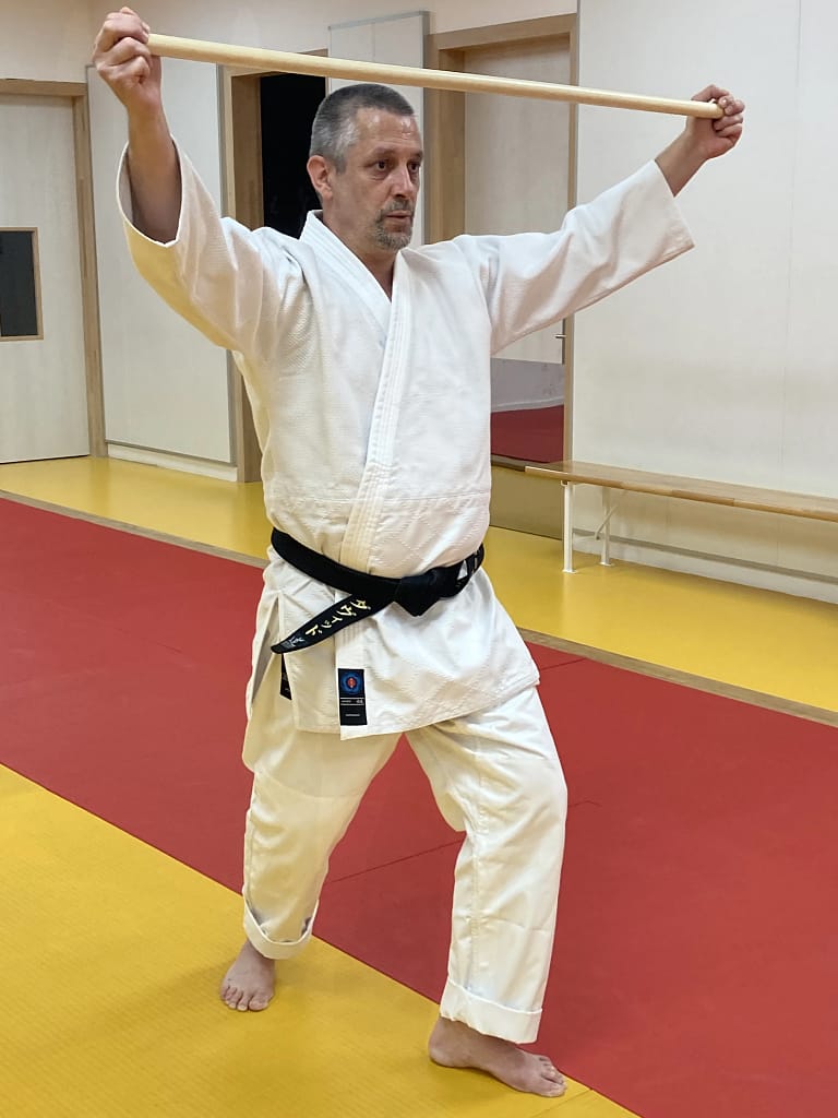 Aïkido Jo. Faire vivre le Jo entre ses mains. AIKIDO ESM