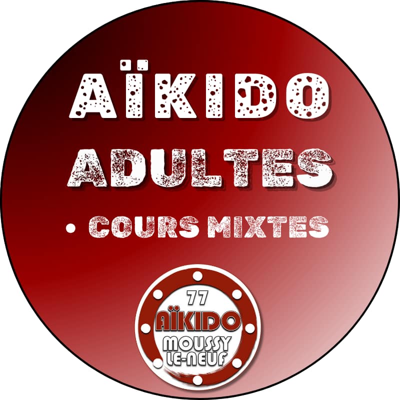 Aïkido à Moussy le Neuf. Aikido adultes
