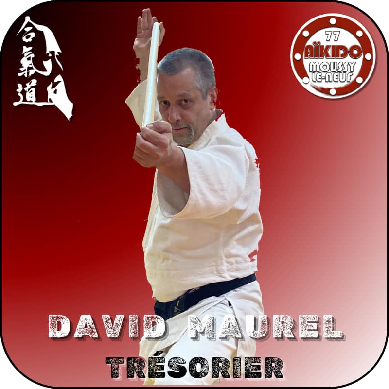 David Maurel - Trésorier - AIKIDO ESM